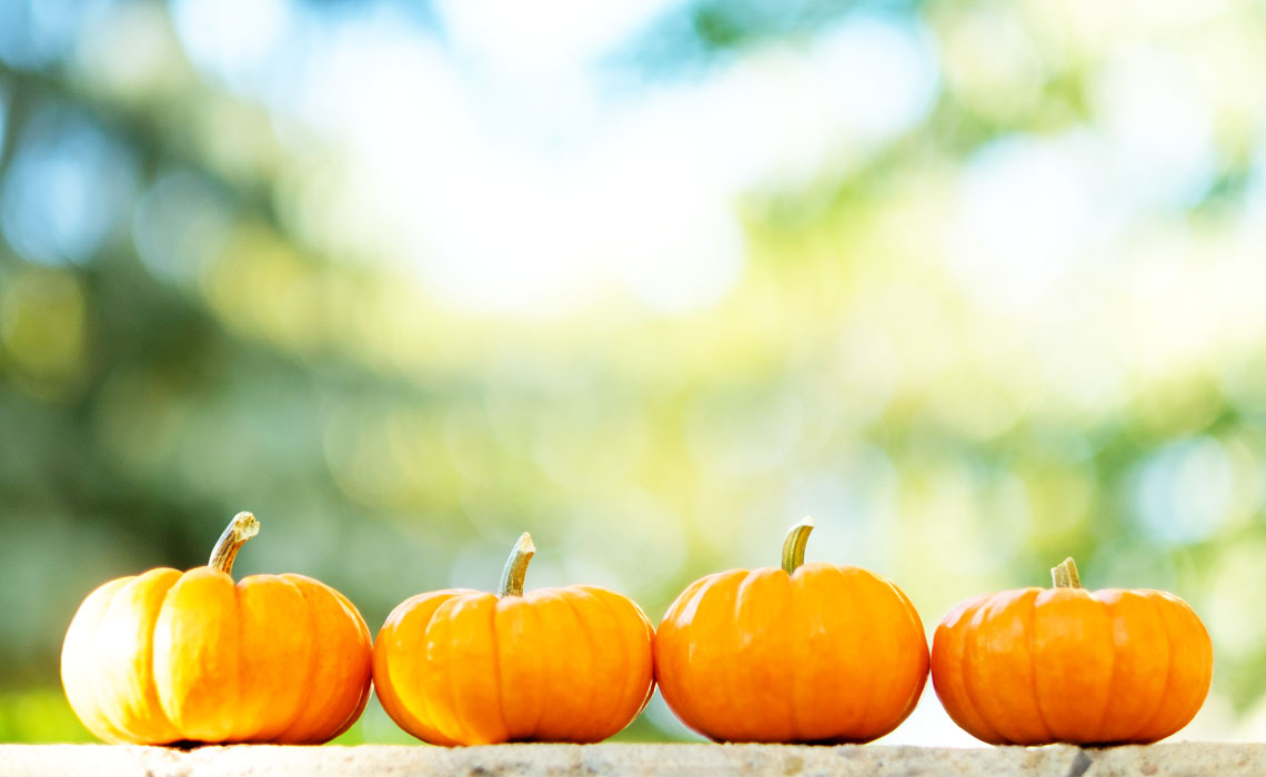 Pumpkin Skincare The Benefits of Including Pumpkin in Your Beauty