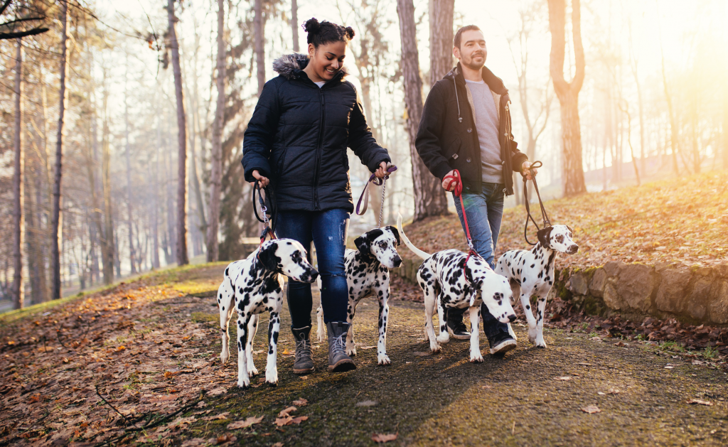 Can Walking Really Help You Lose Weight? - Formula