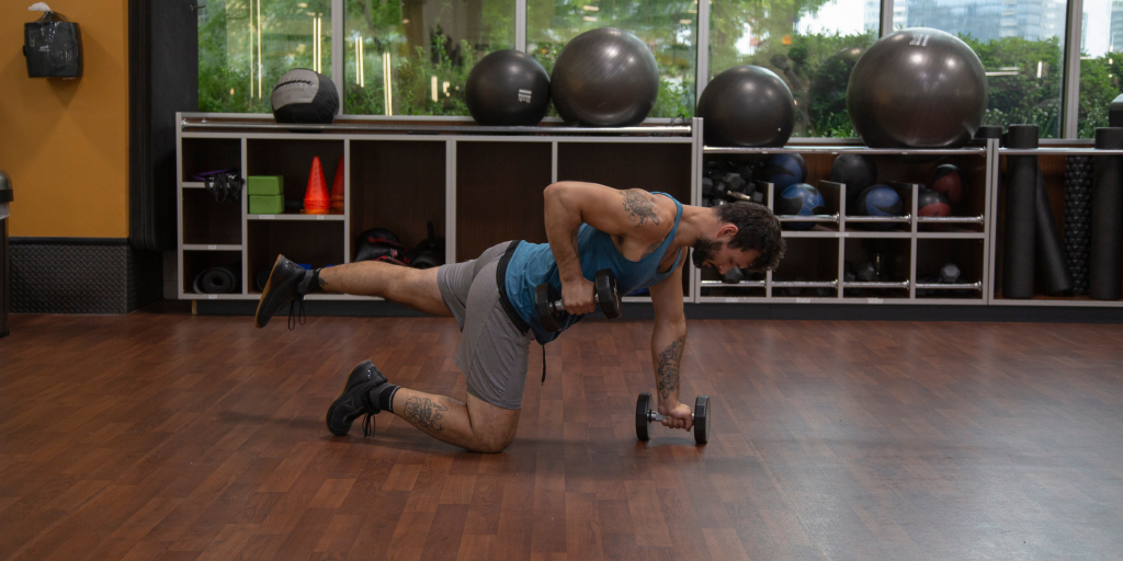 Dumbbell Stability Row